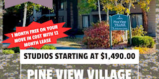 Pine View Village's room