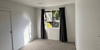 Tasman's room