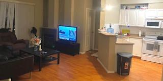 Cassandra's room