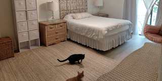 Frieda's room