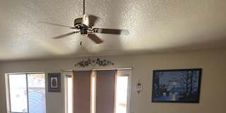 Margarita's room