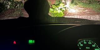 Hunter's room