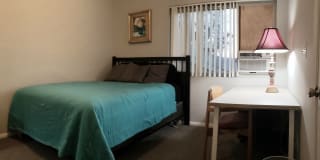 Kristan's room
