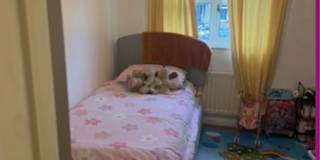 Debs's room