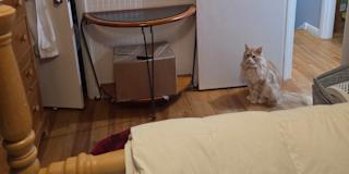 Mary-Sue Hart's room