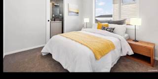 sukhdeep singh's room