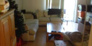 Chris's room