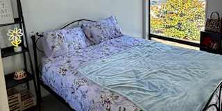 Shony Ward's room