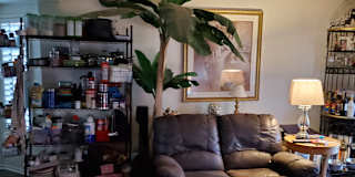 Paula's room