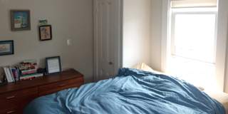 Wilkins's room