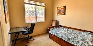 Sholeh's room