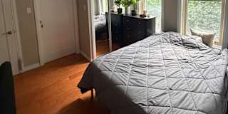 Daniel's room