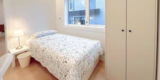 Shirin's room