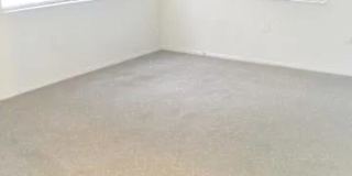 Patrice's room
