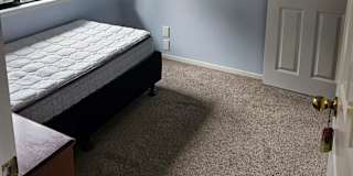 Shaun's room