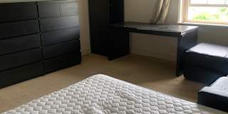 Alex's room