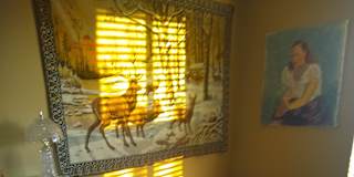 Gayle Wayne's room
