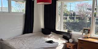 Stuart's room
