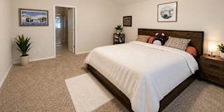 Abi's room