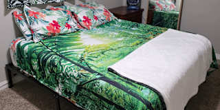SHAT (pronounced Shot)'s room