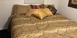 Daniel Brown's room