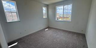Mehrdad's room