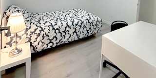 Shahram's room