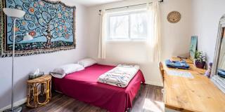 Hanspal's room