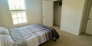 Taz's room