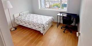 Shirin's room