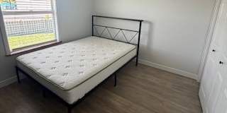 Minh's room