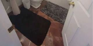 Nini's room