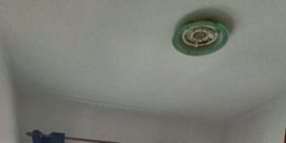 Rose's room