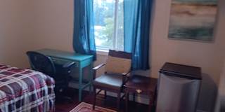 Lily's room