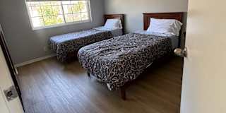 patricia's room
