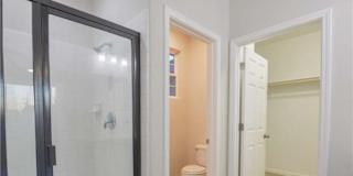 Michelle's room