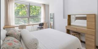 Misheel's room