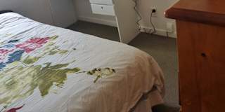 Jasmine's room
