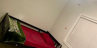 Lily's room