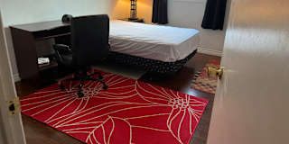 Saru's room