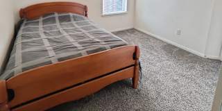 david's room