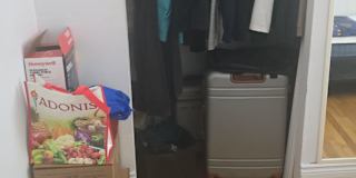 Colin's room