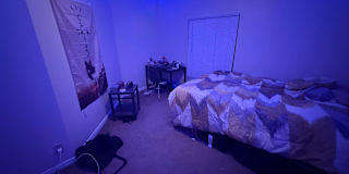 Neeil's room