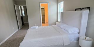 Sasha's room