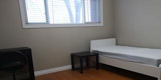 Sana Datta's room