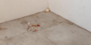 AKASHDEEP SINGH's room