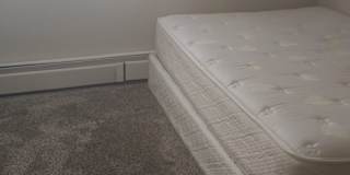 Barb's room