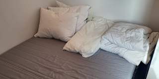 Nelson Couto's room