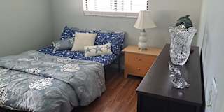 Gustavo's room