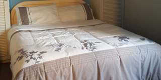 Yvette's room